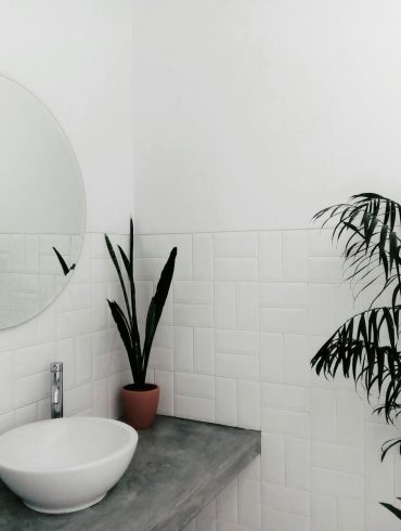 plant beside sink under mirror inside room