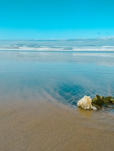white and brown stones on seashore during daytime