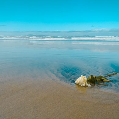 white and brown stones on seashore during daytime