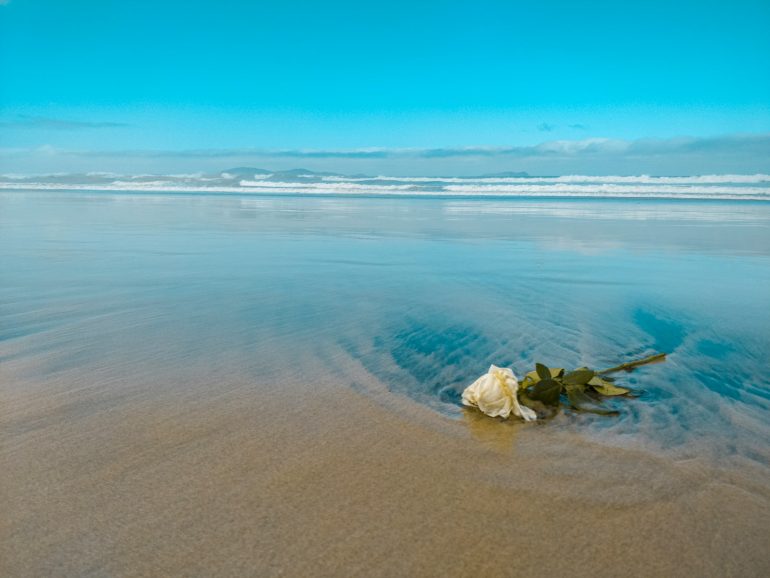 white and brown stones on seashore during daytime